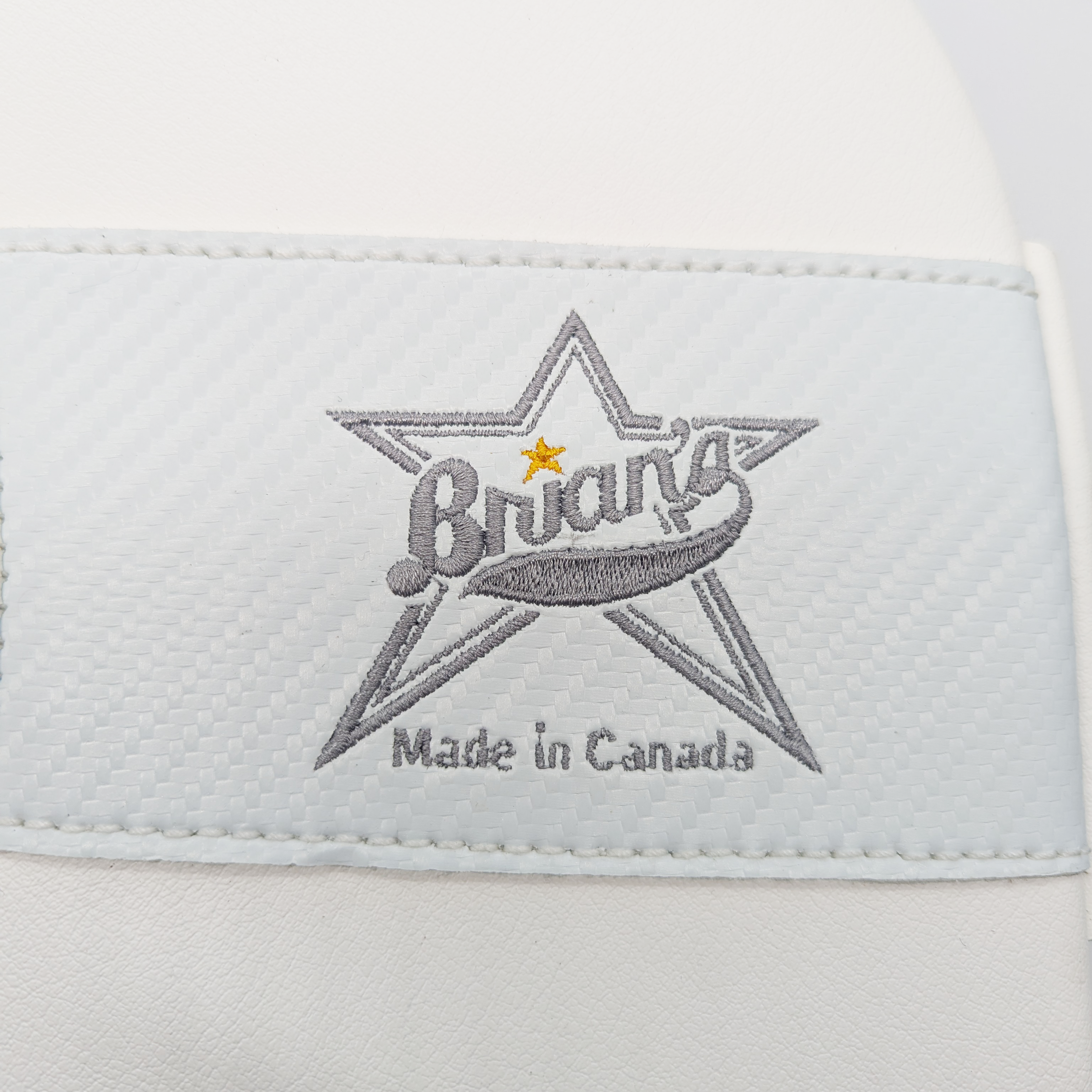 Bloqueur de gardien de but personnalisé de Brian - AHL Pro Stock (blanc/noir/argent)